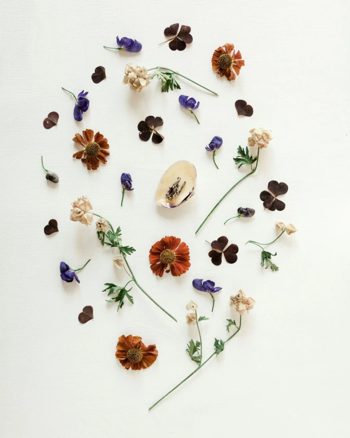 blue and white flowers on white surface